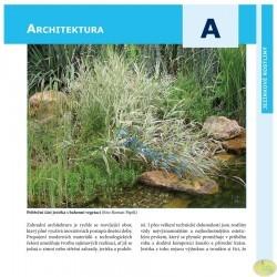 Jezírkové rostliny