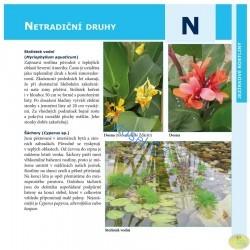 Jezírkové rostliny