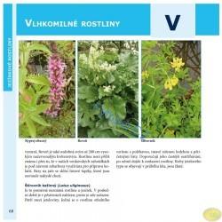 Jezírkové rostliny