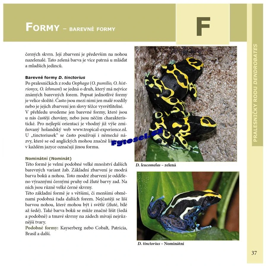 Pralesničky rodu Dendrobates