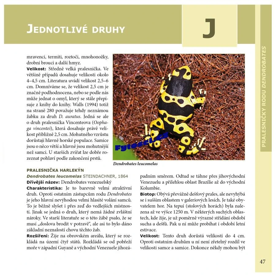 Pralesničky rodu Dendrobates