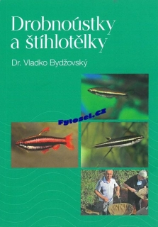 Drobnoústky a štíhlotělky