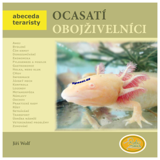 Ocasatí obojživelníci